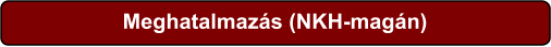 Meghatalmazás (NKH-magán)