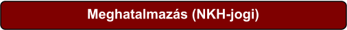 Meghatalmazás (NKH-jogi)